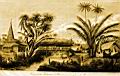 _island_Bourou_1800.jpg