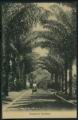 Botanical_Garden_4.jpg