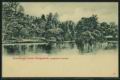 Botanical_Garden_5.jpg