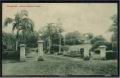 Botanical_Garden_9.jpg
