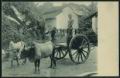 Bullock_cart.jpg