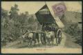 Bullock_carts.jpg